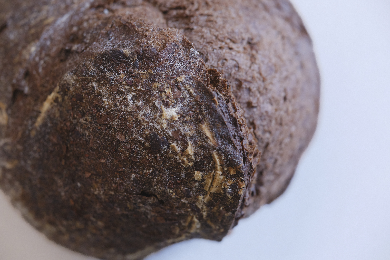 Crosta scura e rustica in dettaglio