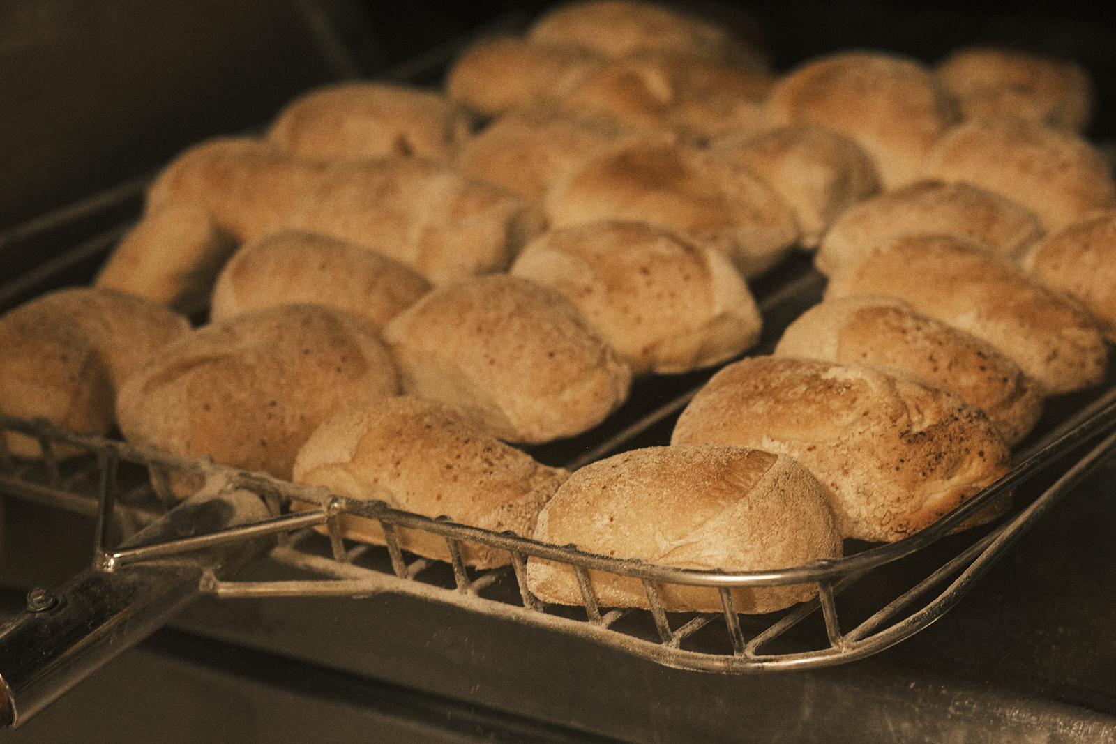 Panini appena sfornati su pala