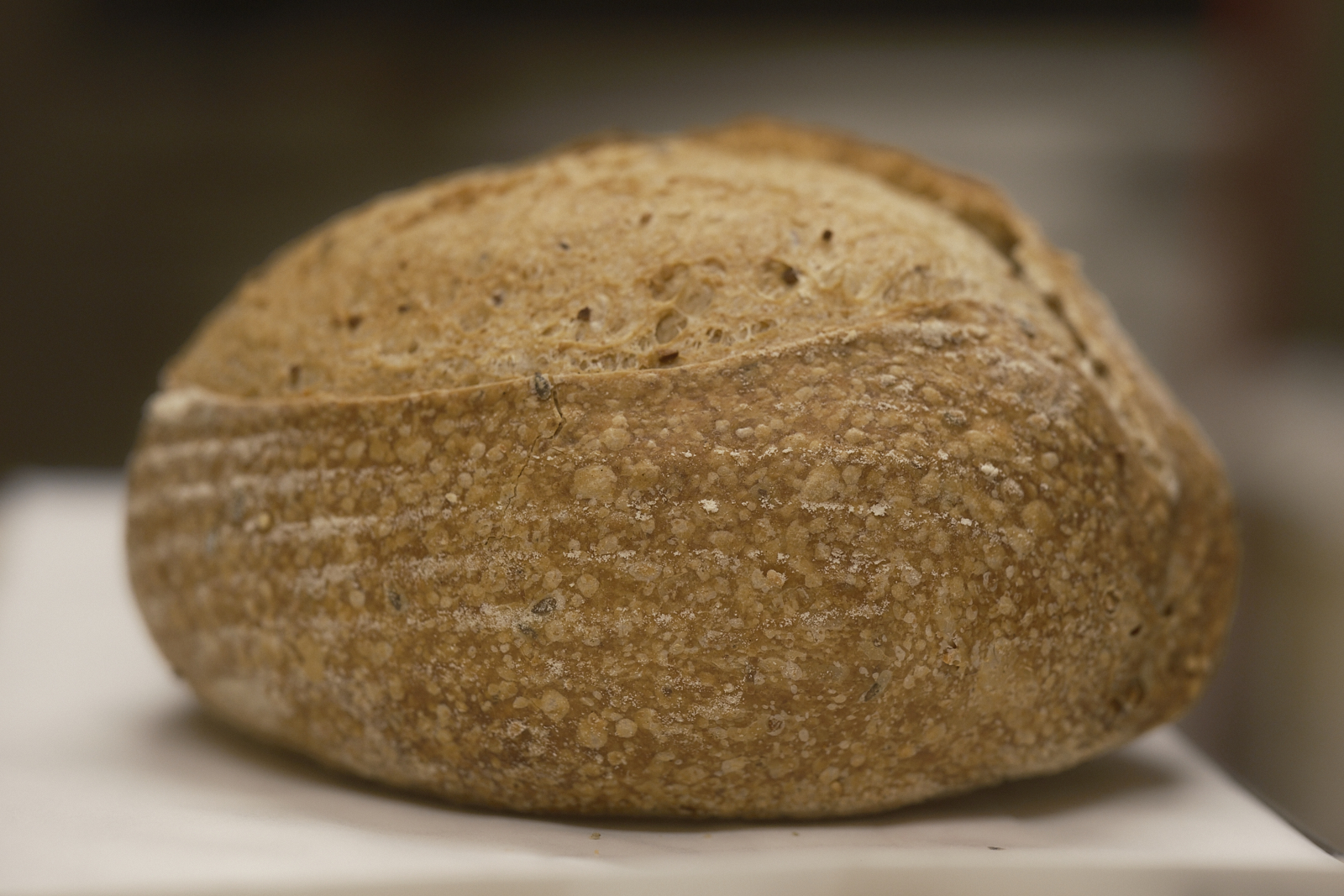 Pagnotta con alveolatura e segni del cestino
