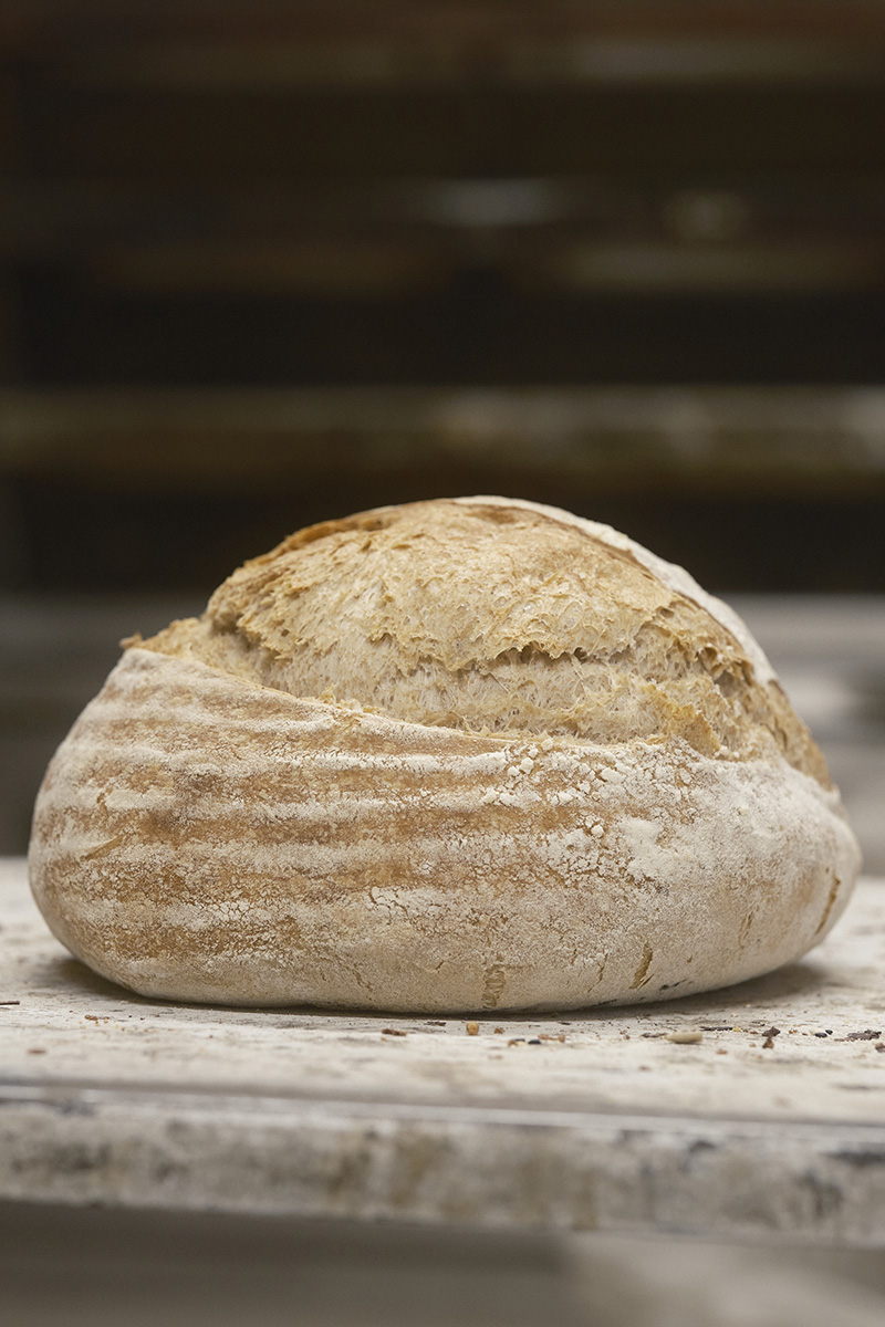 Pagnotta Austria con crosta dorata e segni del cestino