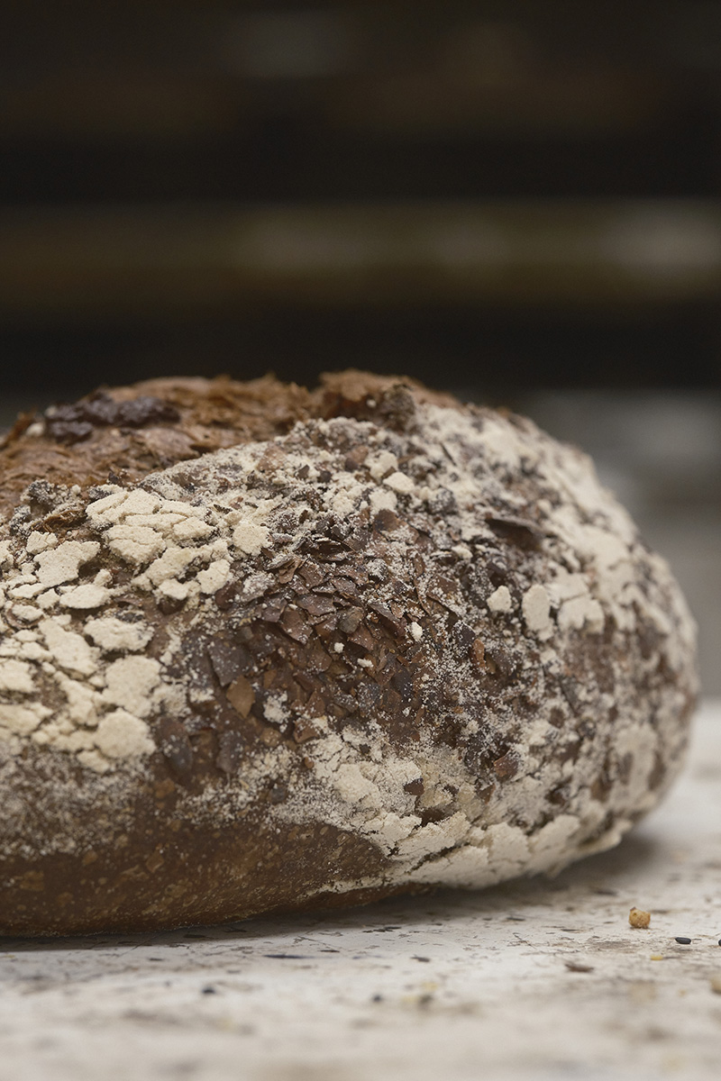 Pagnotta al cioccolato fondente e miele di montagna